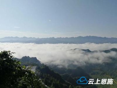 组图丨宣恩：云雾缭绕似仙境 亲近自然好去处