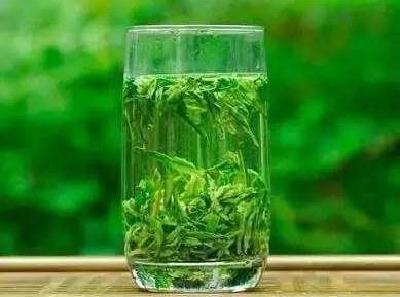 借力龙头茶企平台资源 恩施玉露致力打造鄂茶金名片