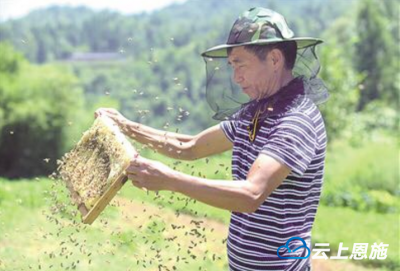 宣恩：石马村的“绿色提款机”