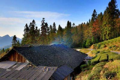 鹤峰：扶贫一线的“独家记忆”