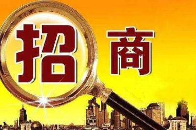 咸丰推进十大招商引资项目工作 