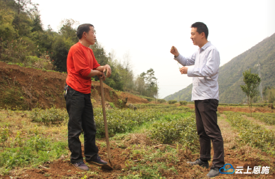 三宣三讲进千村 | 鹤峰：悬崖村上的“扶贫书记”王远涛