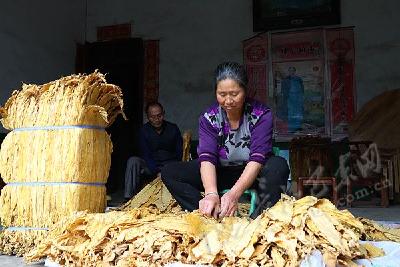 最美扶贫人丨巴东县委办：扎根深山奏响脱贫攻坚凯歌