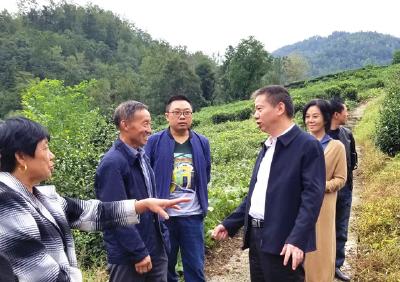 省移民局调研恩施州清江流域水库移民帮扶解困项目工作