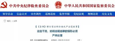 放风100万买条腿!披露:湖北省委巡视组曾被村干部威胁