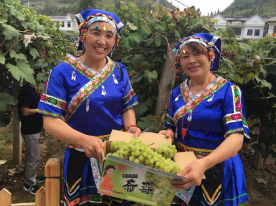 2018中国美丽乡村休闲旅游行（秋季）推介活动在建始拉开帷幕