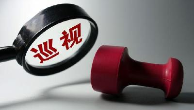 放风100万买条腿!披露:湖北省委巡视组曾被村干部威胁