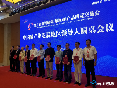 视频丨中国硒产业发展地区领导人圆桌会议举行