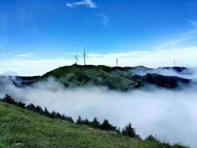 全省旅游发展视频会议召开 刘芳震在分会场作交流发言 会后安排部署相关工作 