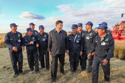 双手捧起一碗米，总书记说：中国粮食，中国饭碗
