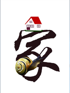 从蜗居说开去——聚焦我国城镇住房市场发展历程