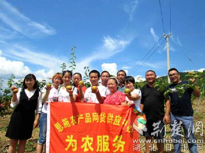 建始800余农民经纪人活跃田间地头 让特色农产品走“高速”