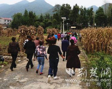 闲时演练才能忙时有序！建始开展防汛抗灾应急演练