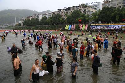 (农民丰收节)宣恩：摸鱼大赛庆丰收