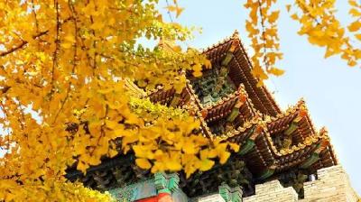 北京的最美秋天