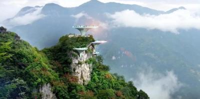 省人大常委会来恩施开展《湖北省林业有害生物防治条例》执法检查