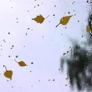 开学季大雨