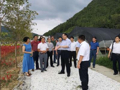 省政协副主席马旭明调研恩施州精准脱贫工作强调 推动实现可持续高质量脱贫