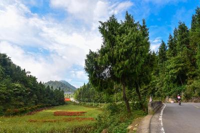 湖北省自行车联赛在望城坡举行