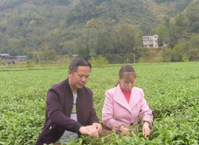 精准扶贫群英谱 | 段振亚：“没有克服不了的困难”