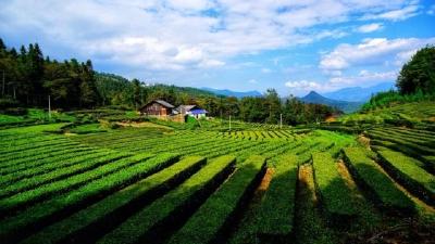 鹤峰：宛如世外桃源的石堡村