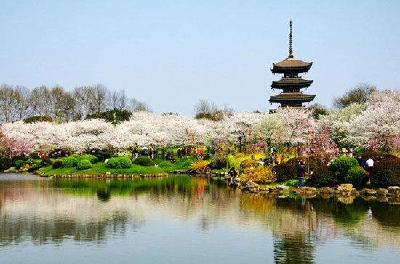 国庆旅游市场开始回落 东湖仍是全省最“火”景区 