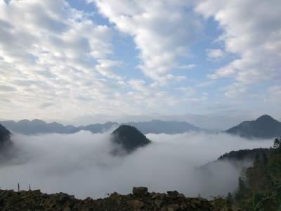 日出时分，看鹤峰云海仙境