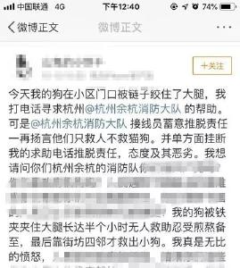 网民质疑消防“只救人不救猫狗”，中国消防回应…