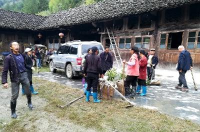 咸丰汤岩嵌：油茶种植正当时