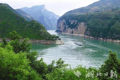这些地方对长江两岸造林绿化重视不够、行动慢 被点名了!