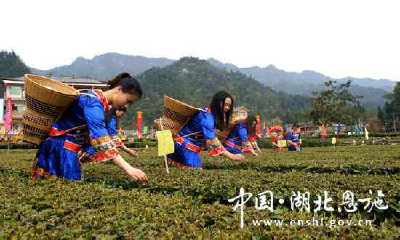 咸丰县商务局走访商贸重点企业