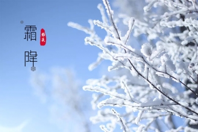 今日霜降，此刻拳拳在念，念你两鬓霜白