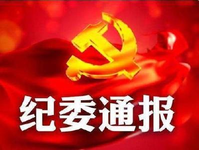 武汉地铁集团有限公司原副总经理何继斌等2人被双开
