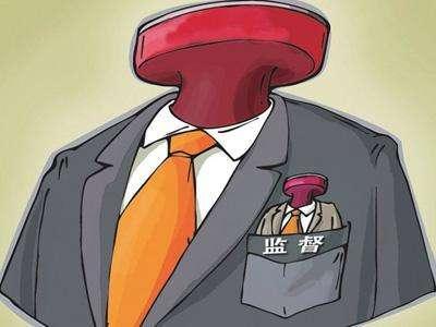 巴东县：强化监督检查 优化发展“软环境”