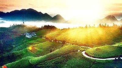 湖北恩施：俏硒入杭“闹”西湖
