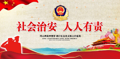 恩施市民政局：积极开展社会治安综合治理工作