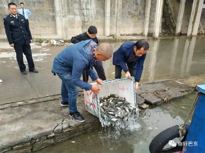 巴东4名非法捕捞者面对长江的忏悔：10万尾鱼回“家”了！