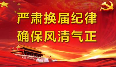 赞成票的秘诀——巴东沿渡河镇39村党支部成功换届观察