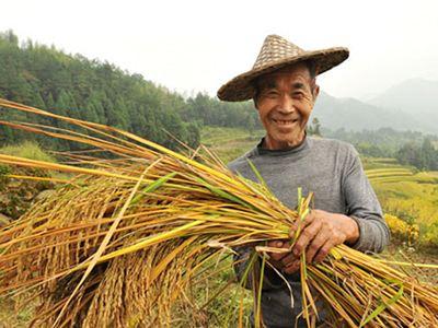 人民日报：让农民成为有吸引力的职业