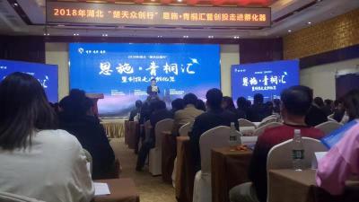 恩施州科技孵化器成功协办 “楚天众创行•青桐汇”活动 