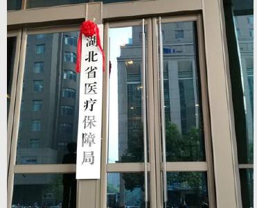 刚刚,湖北省医疗保障局挂牌