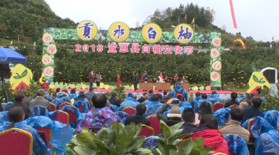 宣恩2018年贡水白柚文化节成功签约金额3000万