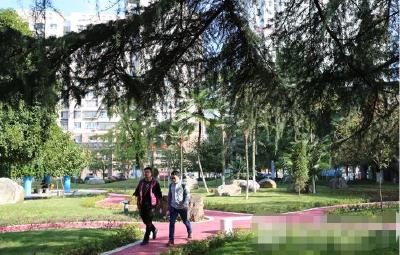 “拆围透绿”让州城颜值更高