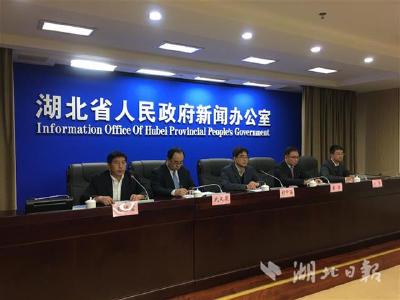 17个月，湖北自贸区新增企业近两万家！