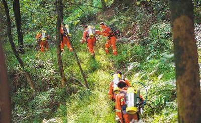 恩施州推进精准灭荒、森林防火及松材线虫病防治