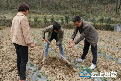 脱贫先锋丨返乡创业带贫致富 他说：“不愁销路，只愁没有那多货”