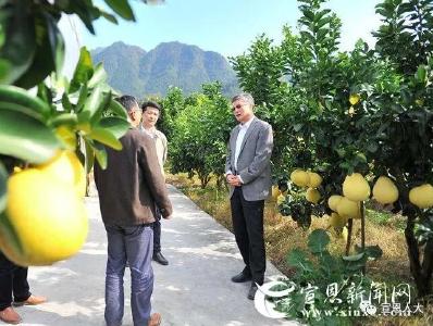 省人大常委会副主任王建鸣到宣恩调研定点扶贫工作