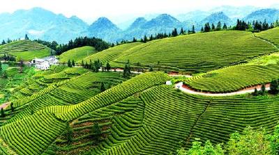 中央第18批博士服务团成员支持恩施州发展纪实