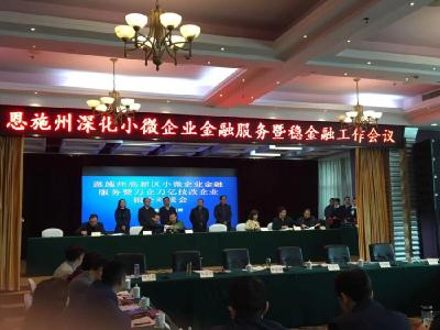 恩施州高新区组织企业参加恩施州深化小微企业金融服务暨稳金融工作会议