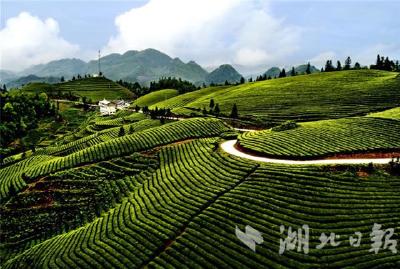 通过水土治理 湖北220多万人解决温饱问题